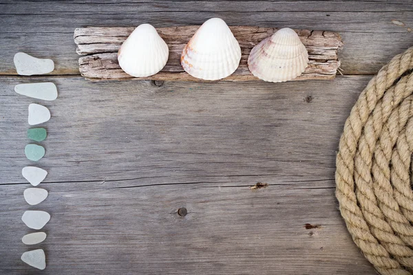 Marine background - seashells, rope and sea glasses — Stock Photo, Image