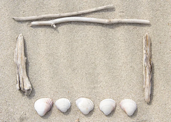 Conchas marinas y madera sobre arena — Foto de Stock