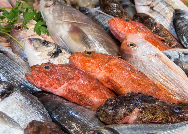 Mixed fish for sale on a market — Stock Photo, Image