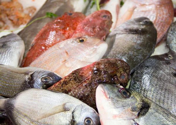 Pescado mixto a la venta en un mercado — Foto de Stock