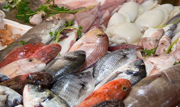 Mixed fish for sale on a market Royalty Free Stock Photos