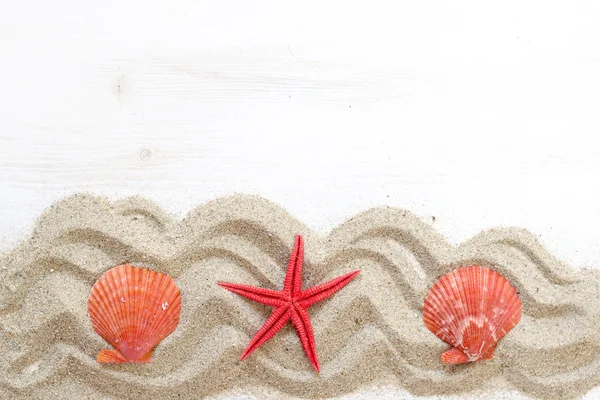 Sea shells ans starfish  - Tropical travel — Stock Photo, Image