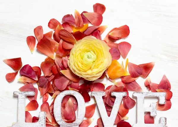 Ranunculus flowers and letters LOVE background — Stock Photo, Image