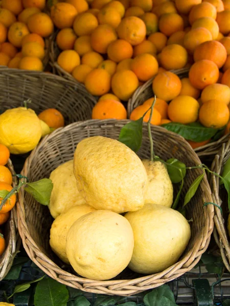 Limones Sorrento en el mercado — Foto de Stock