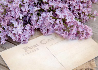 leylak ve yıpranmış Wood kartpostal
