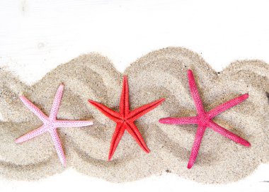 starfishes kum üzerinde