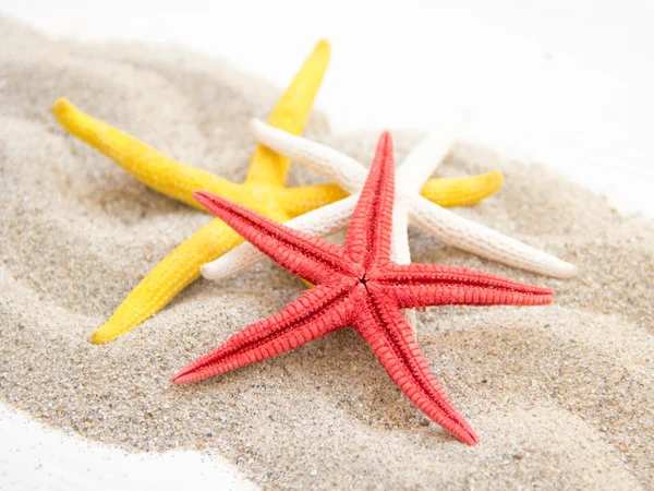 모래에 starfishes — 스톡 사진