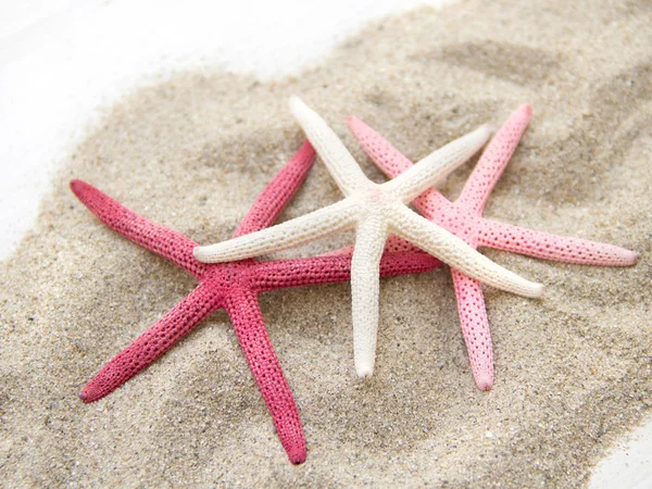 Starfishes on sand — Stock Photo, Image