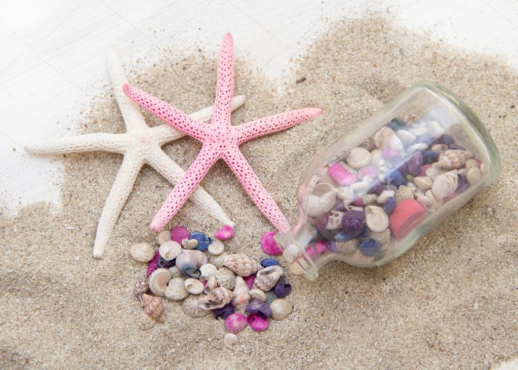 Sea shells and starfish on sand