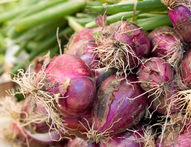 bir piyasada kırmızı soğan