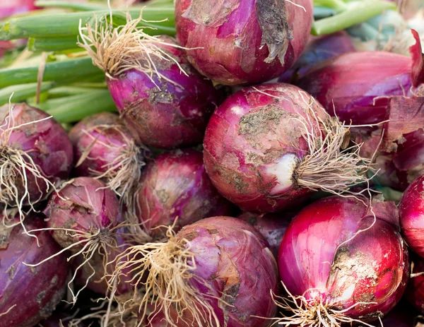 Cebolas vermelhas em um mercado — Fotografia de Stock