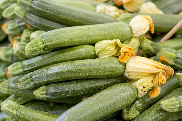 Courgette met bloemen — Stockfoto