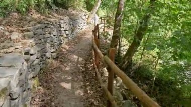 İtalya 'nın Cilento kentindeki yeşil ormanda bir patikada yürüyorum. Kişisel Bakış Açısı