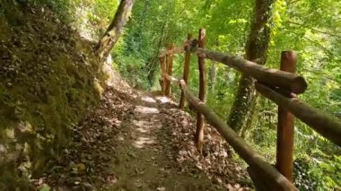 İtalya 'nın Cilento kentindeki yeşil ormanda bir patikada yürüyorum. Kişisel Bakış Açısı