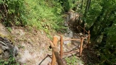 İtalya 'nın Cilento kentindeki yeşil ormanda bir patikada yürüyorum. Kişisel Bakış Açısı