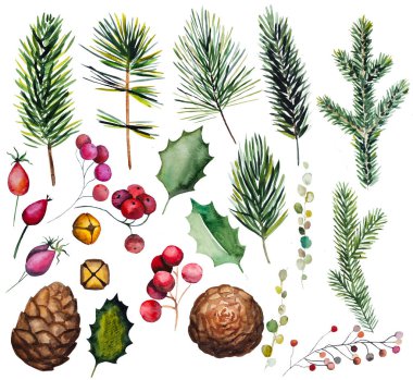 Kış Noel Suluboyaları köknar ağacı dalları, çanlar, kutsal yapraklar ve izole meyvelerle kurulur.