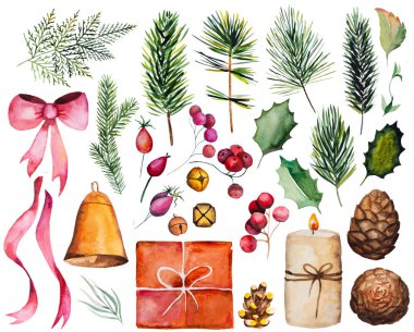 Kış Noel Suluboyaları köknar ağacı dalları, böğürtlenler, kozalaklar, mevcut ve muma izole edilmiş