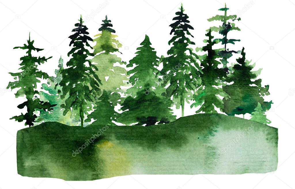 Winter Christmas Watercolor with green coniferous trees landscape isolated
