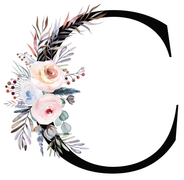 Çiçekli suluboya harf C pastel kış buketi ile süslenmiş beyaz üzerine izole edilmiş. Yaprakları, böğürtlenleri ve çiçekleri mavi, lavantası ve pembesi olan kış çiçekli mektup. Düğün dekorasyonu için alfabe elementleri, tatil kırtasiyesi, el işi.