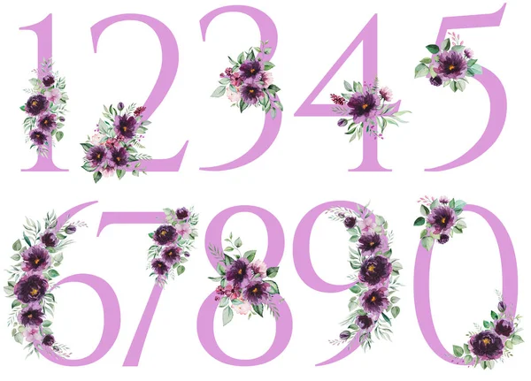 Números Acuarela Decorados Con Ramo Floral Aislado Blanco Número Lavanda —  Fotos de Stock