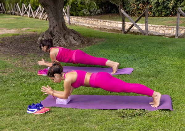 Two women in plank position on mat in a park in sunny summer day. Middle-aged and young caucasian women in pink sport clothing outdoor. Exercise for back spine and posture. Pilates and fitness concept