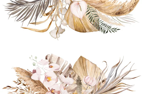 Akvarel Český Rámeček Tropickými Bavlněnými Květy Sušenými Palmovými Listy Pampasovou — Stock fotografie