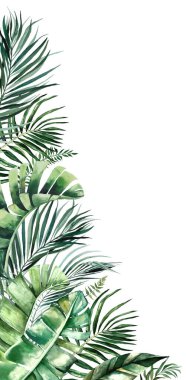 Tropikal yapraklar ve çiçek resimleriyle suluboya sınır. Düğün tasarımı için Yeşil Element, tebrik kartları ve el işi