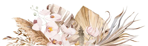 Akvarel Český Rámeček Tropickými Bavlněnými Květy Sušenými Palmovými Listy Pampasovou — Stock fotografie