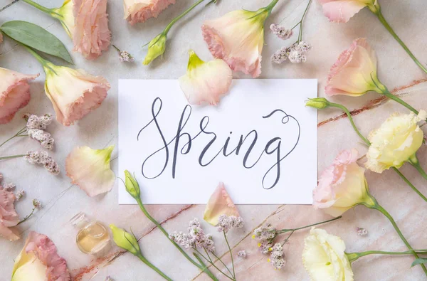 Karte Mit Dem Handgeschriebenen Text Frühling Umgeben Von Rosa Blumen — Stockfoto