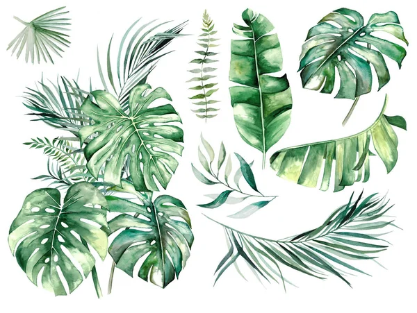 Aquarell Strauß Aus Grünen Tropischen Blättern Und Blumen Illustration Grüne — Stockfoto