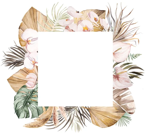 Akvarel Český Čtvercový Rám Tropickými Bavlněnými Květy Sušenými Palmovými Listy — Stock fotografie