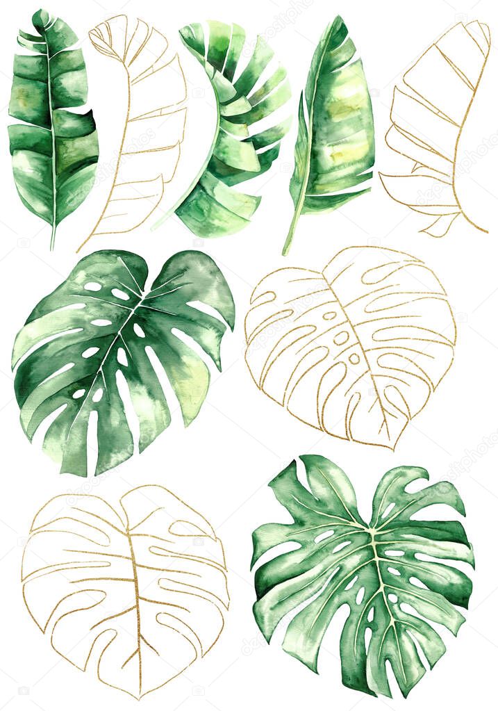 Green and Golden watercolor tropical banana and monstera leaves illustration. Elegant Element for wedding design, greeting cards and crafting, place for text