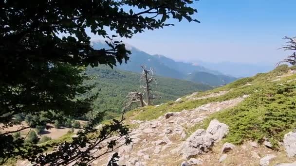 Vista Panorámica Del Parque Nacional Pollino Italia Verano — Vídeos de Stock