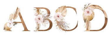 A, B, C, D harfleri tropikal ve pamuk çiçekleri, kurutulmuş palmiye yaprakları ve pampa otları, bohem alfabesi çizimleri. Düğün tasarımı ve el işi için bej elementler