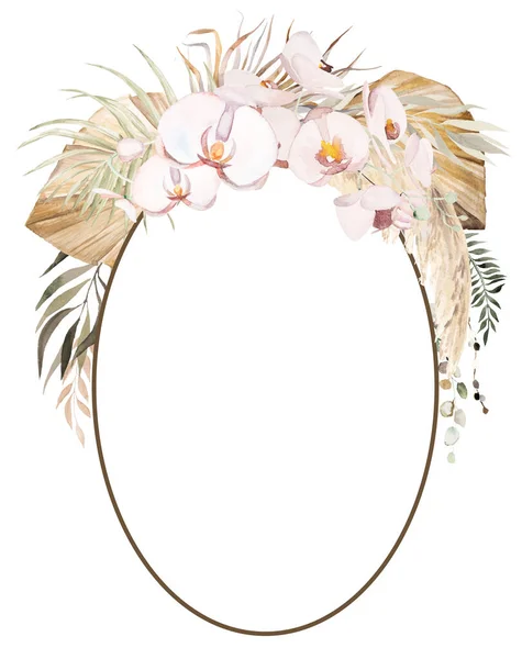 Watercolor Bohemian Oval Frame Tropical Cotton Flowers Dried Palm Leaves — Zdjęcie stockowe