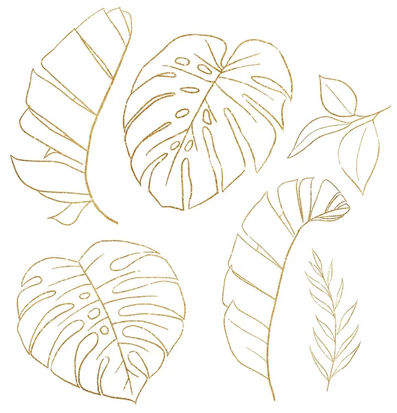 Golden Outlines Tropische Banaan Monstera Bladeren Illustratie Elegante Element Voor — Stockfoto