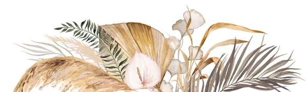 Акварель Чешская Граница Тропическими Хлопчатобумажными Цветами Сушеные Пальмовые Листья Пампас — стоковое фото