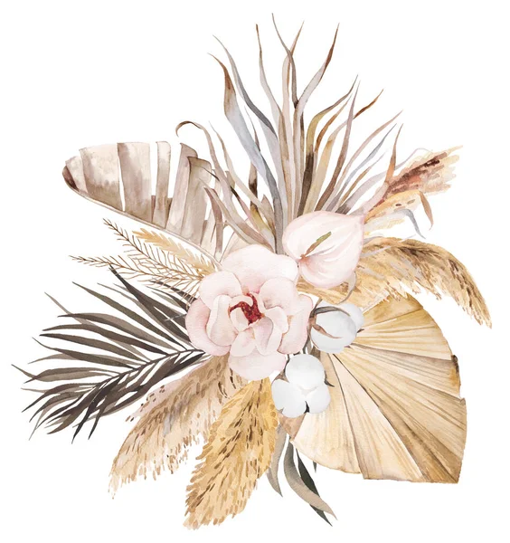 Akwarela Czeski Bukiet Tropikalnych Bawełnianych Kwiatów Suszonych Liści Palmowych Pampas — Zdjęcie stockowe