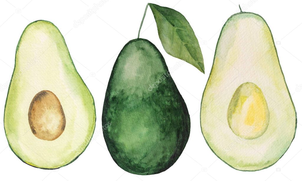 Watercolor green juicy avocado. Whole and half an avocado, tropical fruit illustration. Healthy food, keto diet