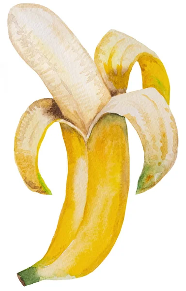 Obierany Akwarela Żółty Dojrzały Banan Cała Tropikalna Ilustracja Owoców Zdrowa — Zdjęcie stockowe