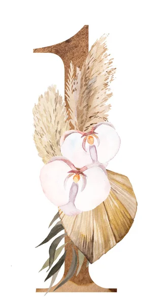 Akvarel Číslo Tropickými Bavlněnými Květy Sušenými Palmovými Listy Pampasovou Trávou — Stock fotografie