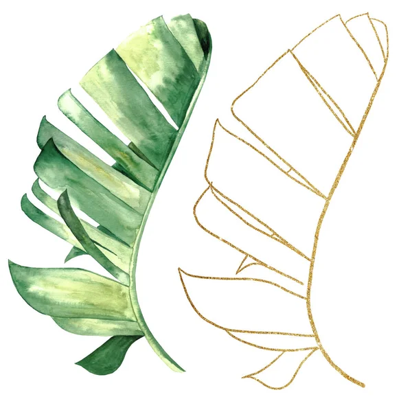 Aquarelle Verte Dorée Illustration Feuilles Banane Tropicales Elément Élégant Pour — Photo