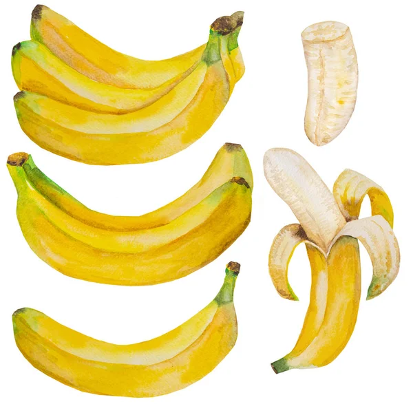 Υδατογραφία Κίτρινες Ώριμες Μπανάνες Εικονογράφηση Ολόκληρων Και Μισών Τροπικών Φρούτων — Φωτογραφία Αρχείου