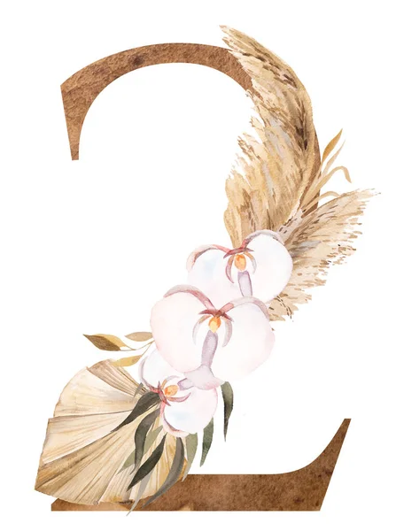 Akvarel Číslo Tropickými Bavlněnými Květy Sušenými Palmovými Listy Pampasovou Trávou — Stock fotografie
