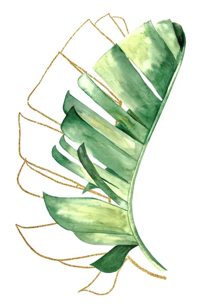Aquarelle Verte Dorée Illustration Feuilles Banane Tropicales Elément Élégant Pour — Photo