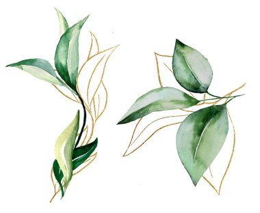 Yeşil ve Altın suluboya botanik yapraklar. Düğün tasarımı için zarif elementler, tebrik kartları ve el işi, metin için yer