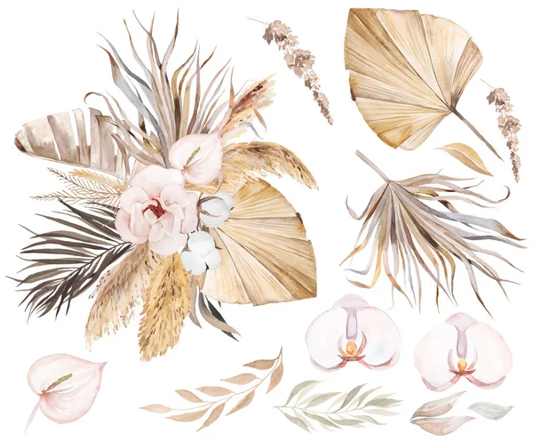 Akvarel Český Oválný Rám Tropickými Bavlněnými Květy Sušenými Palmovými Listy — Stock fotografie
