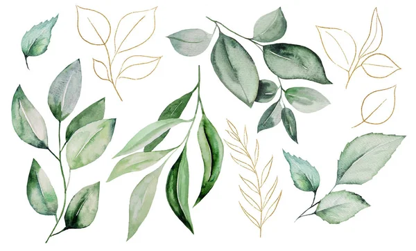 Ilustración Hojas Botánicas Acuarela Verde Dorada Elemento Elegante Para Diseño — Foto de Stock