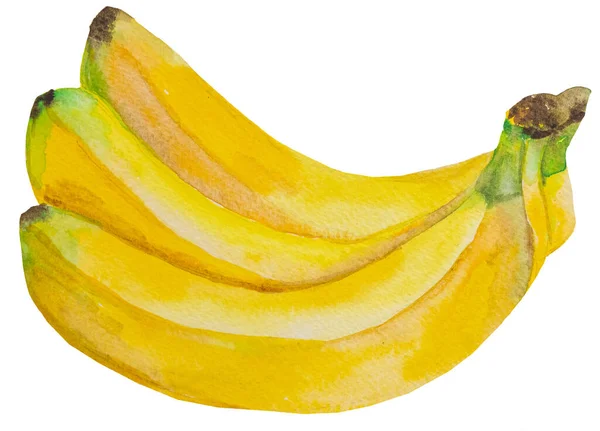 Akwarela Żółte Dojrzałe Banany Cała Tropikalna Ilustracja Owoców Zdrowa Żywność — Zdjęcie stockowe