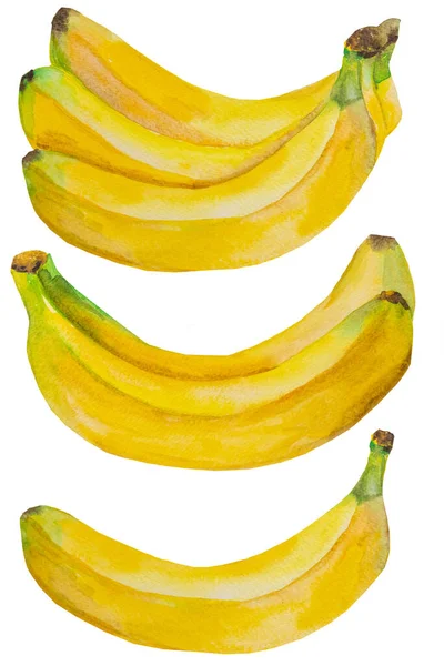 Trossen Aquarelgele Rijpe Bananen Hele Tropische Fruit Illustratie Gezond Voedsel — Stockfoto